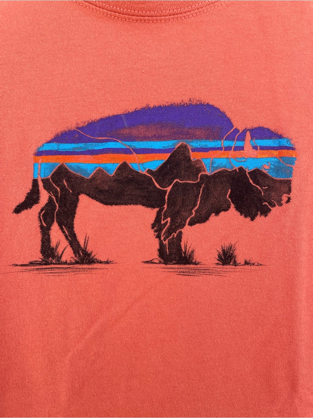 Patagonia Orange Fitz Roy Bison Graphic Tee S